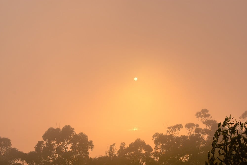 DSC_0390 DSC_0390