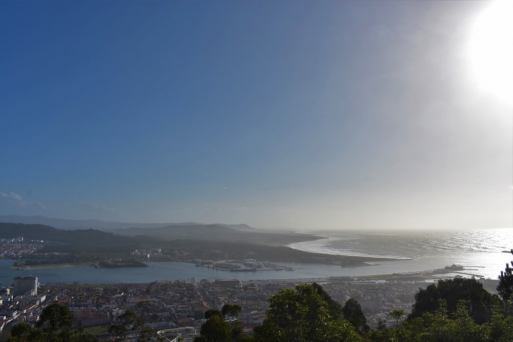 DSC_0736 DSC_0736