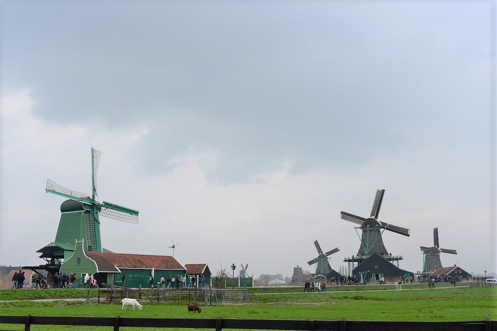 DSC_0412 DSC_0412