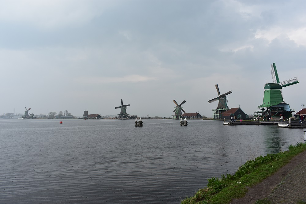 DSC_0437 DSC_0437
