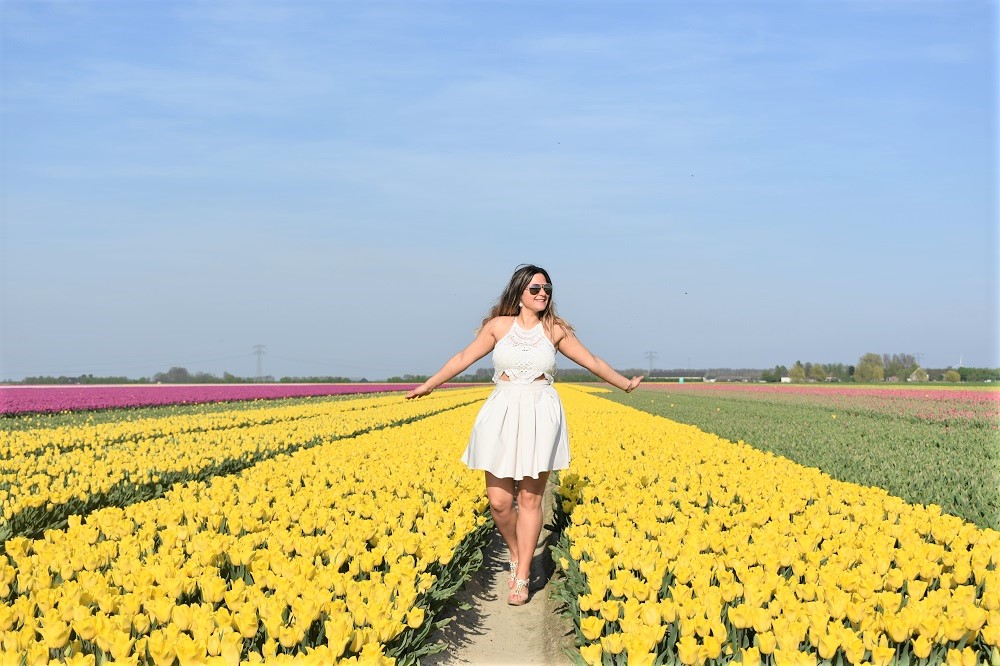 Tulpenvelden Goeree-Overflakkee Casa Borita Tulpenvelden Goeree-Overflakkee Casa Borita