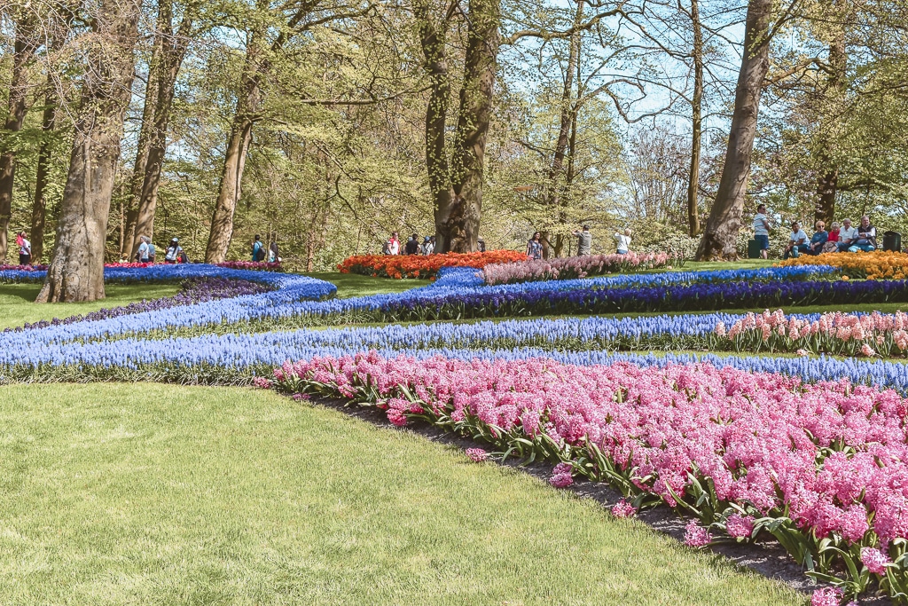 Keukenhof Lisse