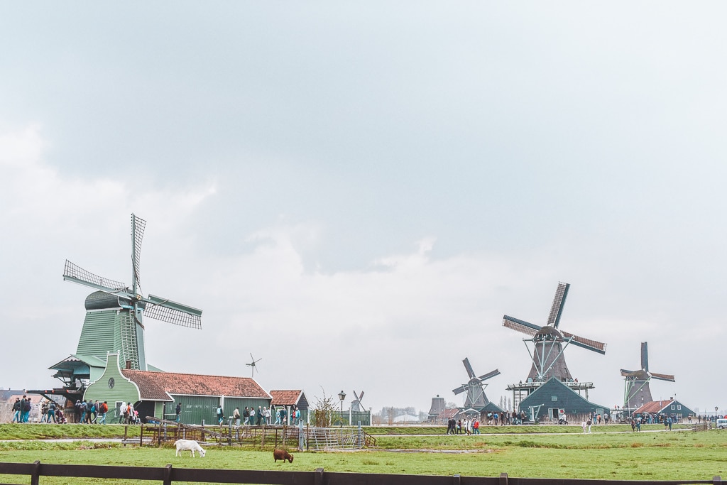 DSC_0412 DSC_0412