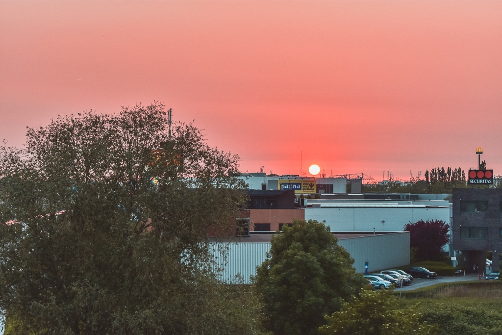 DSC_0894 DSC_0894