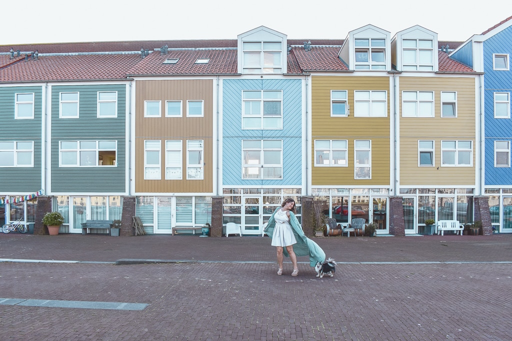 DSC_0947 DSC_0947