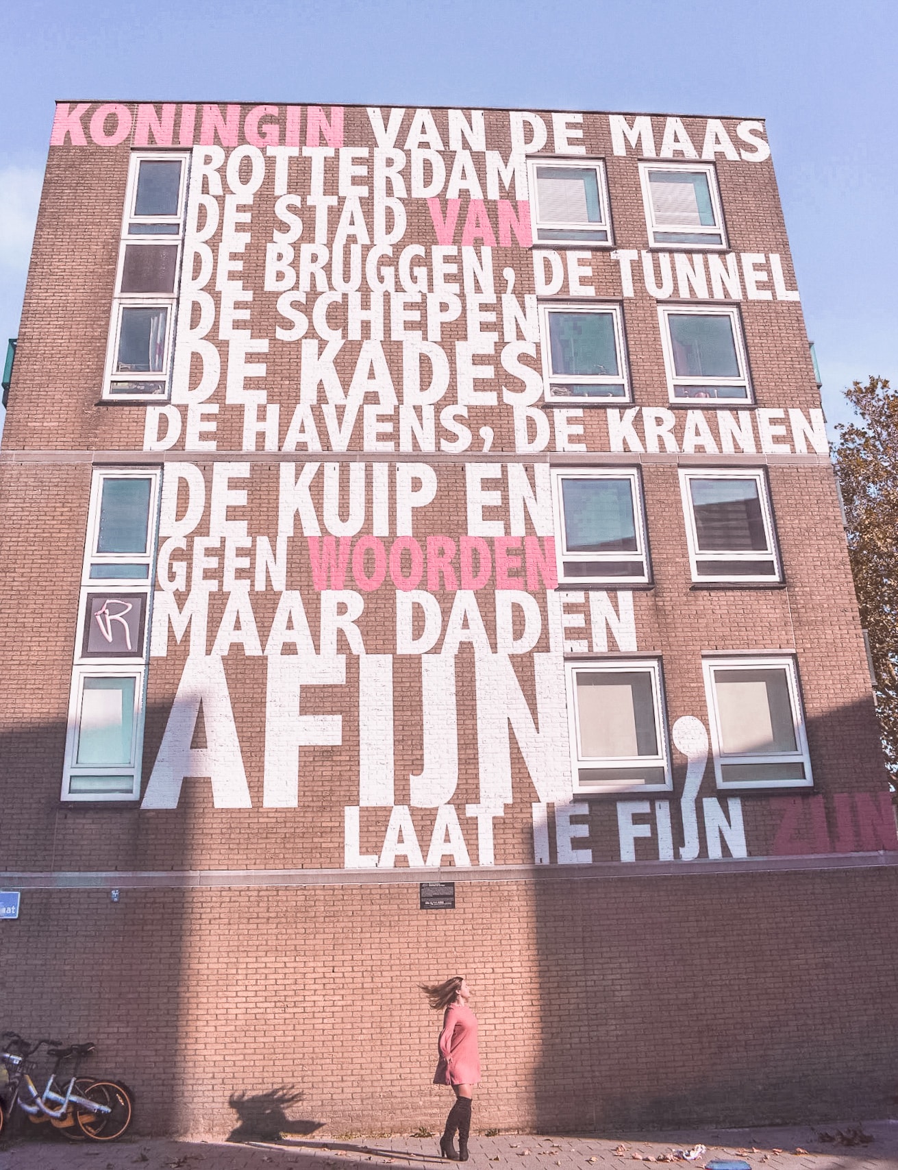 Rotterdam Street Art Tarwewijk Casa Borita Rotterdam Street Art Tarwewijk Casa Borita