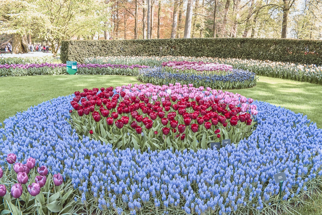 Keukenhof Lisse The Netherlands