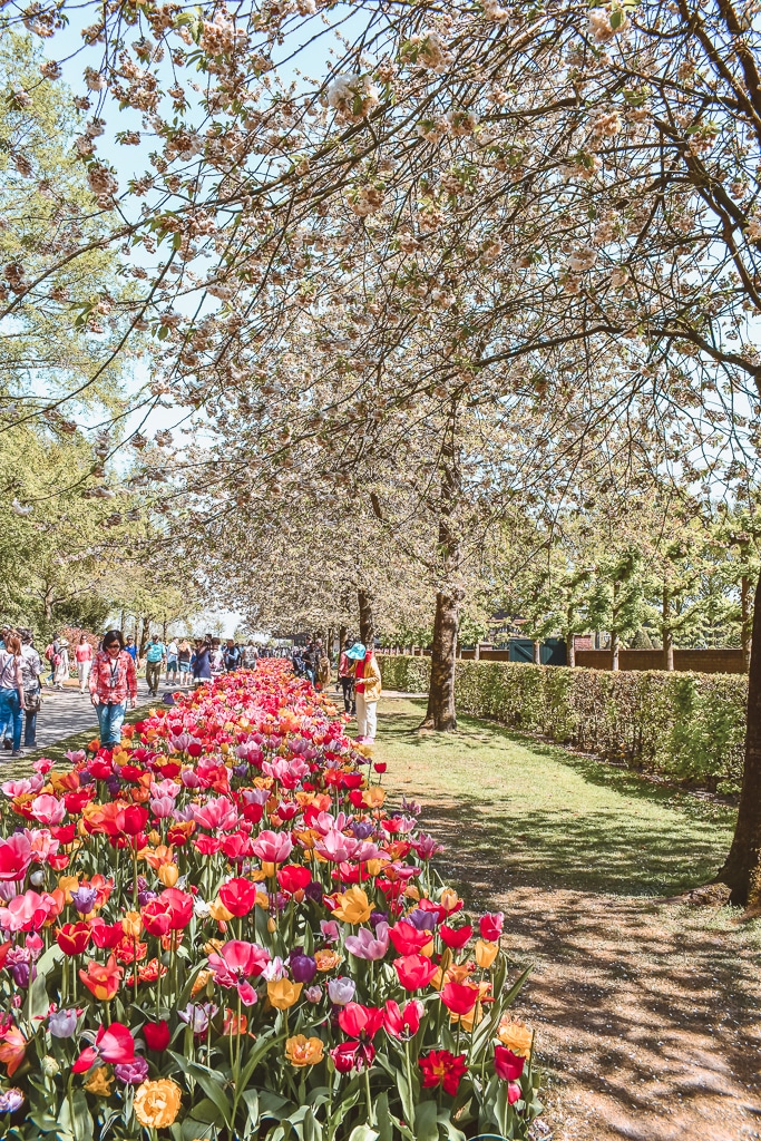 Keukenhof Lisse The Netherlands