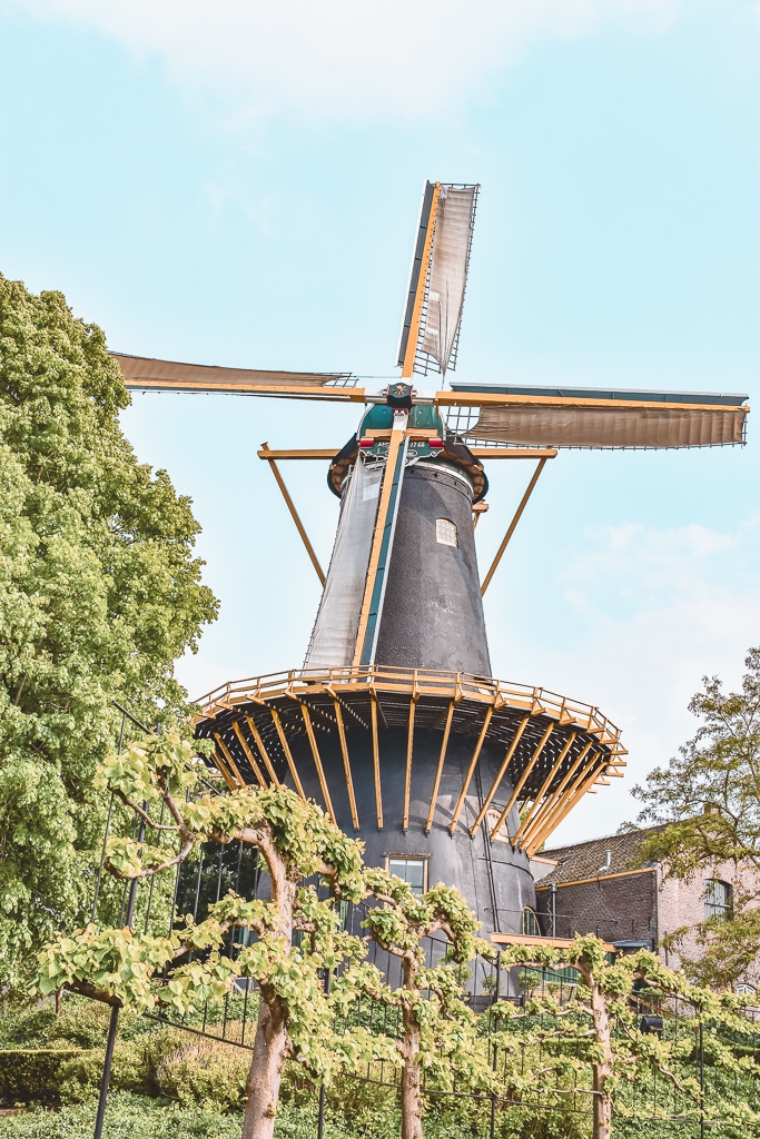 Molen de Windhond Woerden