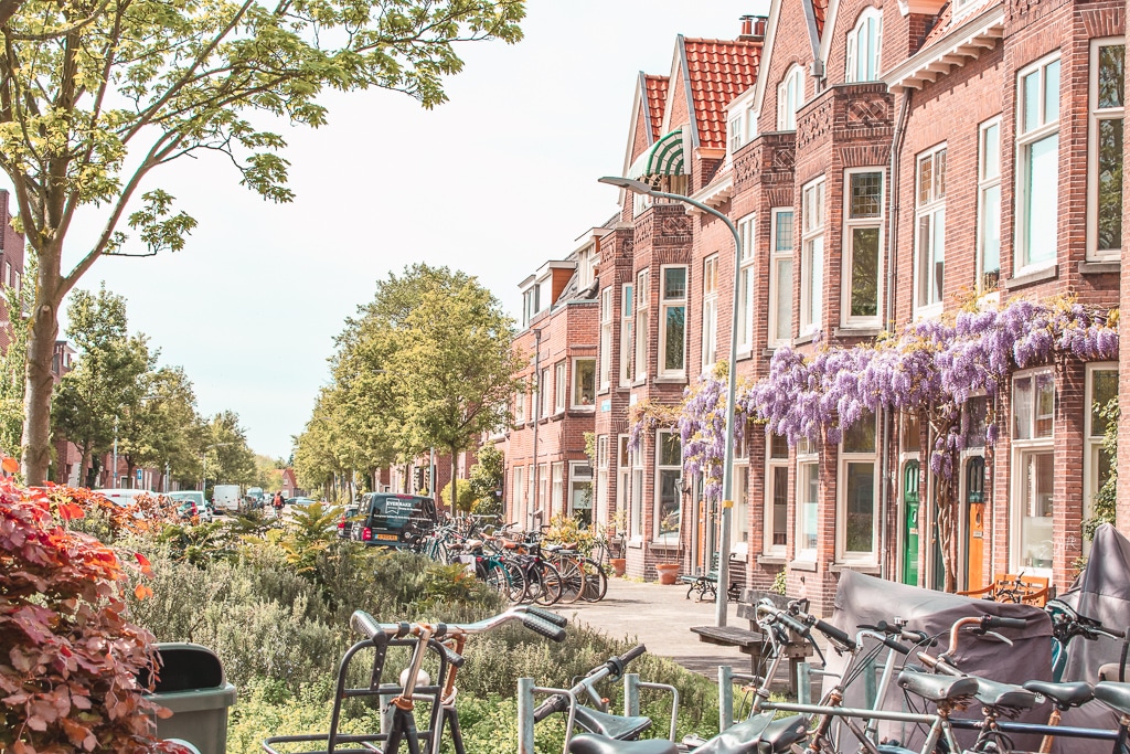Haarlem The Netherlands