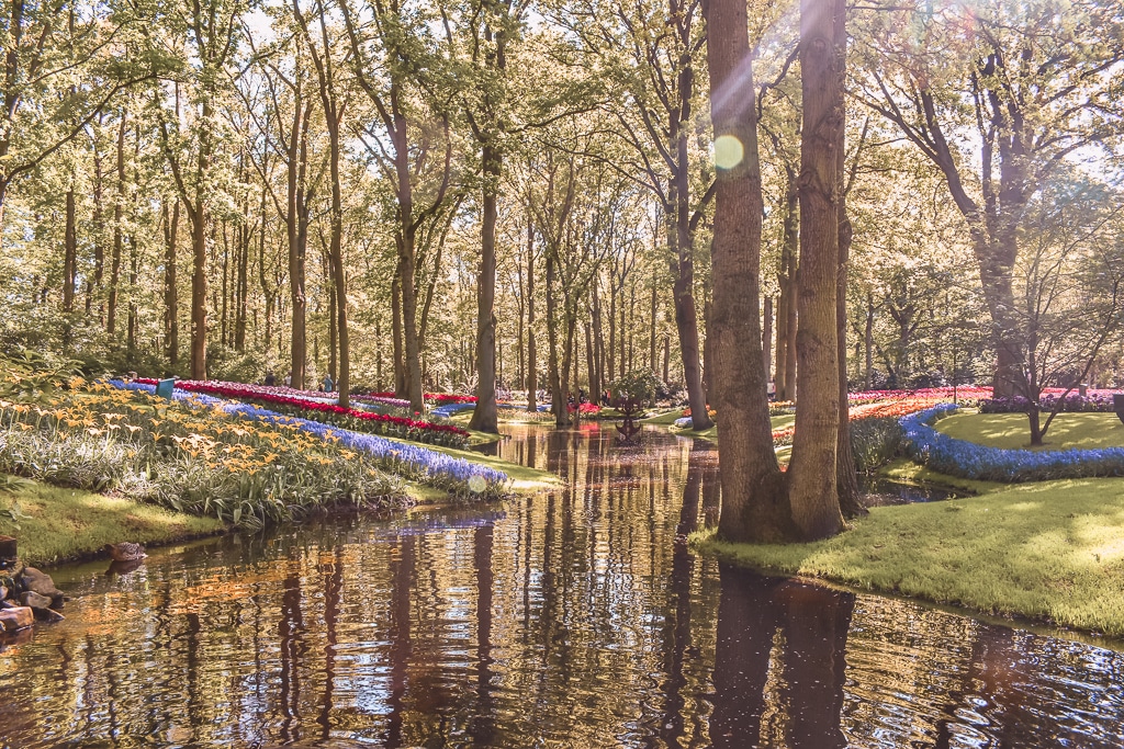 Keukenhof Lisse The Netherlands