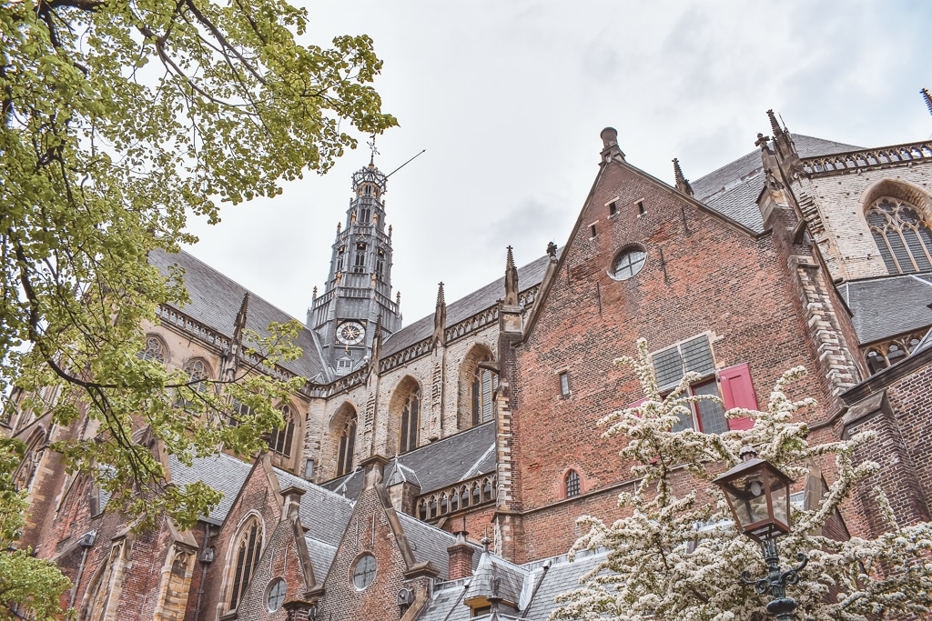 Haarlem The Netherlands Haarlem The Netherlands