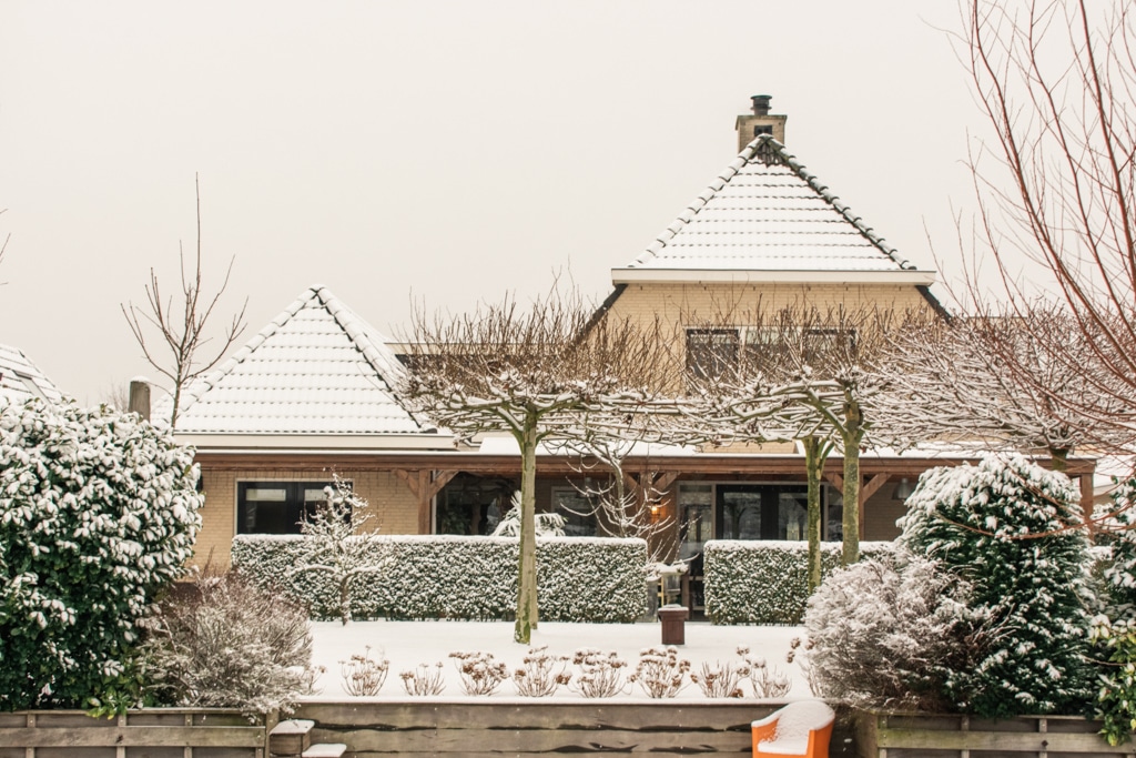 Netherlands Snow January